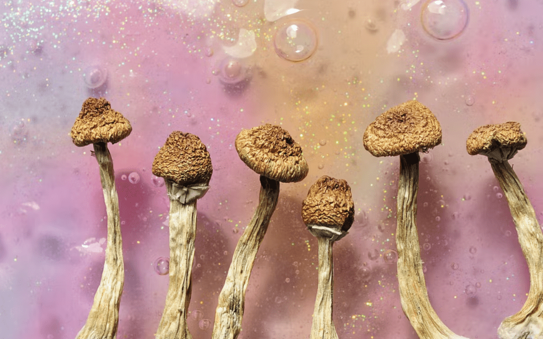 A SINGLE DOSE OF PSILOCYBIN SHROOMS REWIRES THE BRAIN AWAY FROM DEPRESSION